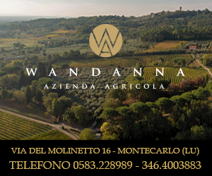 Azienda Agricola Wandanna - Vino e Olio di Montecarlo, Lucca - Degustazioni e Vendita diretta