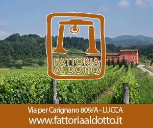 Fattoria al Dotto - Produzione e Vendita Vino a Lucca - Wine Tasting Lucca